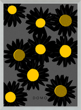 Load image into Gallery viewer, BLACK DAISIES 8x11