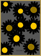 Load image into Gallery viewer, BLACK DAISIES 16x22