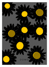 Load image into Gallery viewer, BLACK DAISIES 8x11