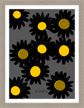 Load image into Gallery viewer, BLACK DAISIES 16x22