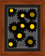 Load image into Gallery viewer, BLACK DAISIES 8x11