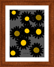 Load image into Gallery viewer, BLACK DAISIES 8x11