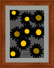 Load image into Gallery viewer, BLACK DAISIES 8x11
