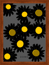 Load image into Gallery viewer, BLACK DAISIES 16x22