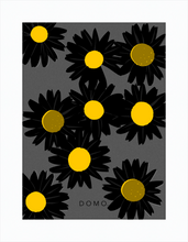 Load image into Gallery viewer, BLACK DAISIES 8x11