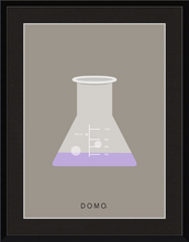 Load image into Gallery viewer, ERLENMEYER FLASK (LAB COLLECTION) 8x11
