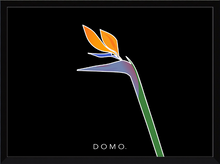 Load image into Gallery viewer, BIRD OF PARADISE 8x11
