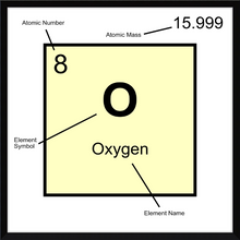 Load image into Gallery viewer, OXYGEN (LAB COLLECTION)12x12