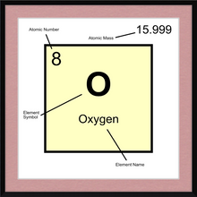 Load image into Gallery viewer, OXYGEN (LAB COLLECTION)12x12