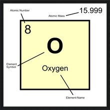 Load image into Gallery viewer, OXYGEN (LAB COLLECTION)12x12