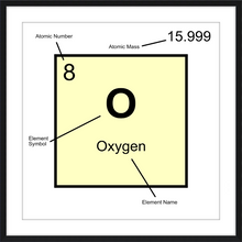 Load image into Gallery viewer, OXYGEN (LAB COLLECTION)12x12