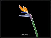 Load image into Gallery viewer, BIRD OF PARADISE 22x16