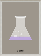 Load image into Gallery viewer, ERLENMEYER FLASK (LAB COLLECTION) 8x11