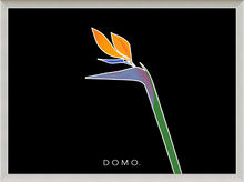Load image into Gallery viewer, BIRD OF PARADISE 8x11