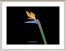 Load image into Gallery viewer, BIRD OF PARADISE 8x11