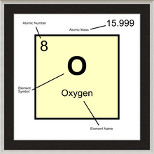 Load image into Gallery viewer, OXYGEN (LAB COLLECTION)12x12