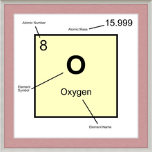 Load image into Gallery viewer, OXYGEN (LAB COLLECTION)12x12