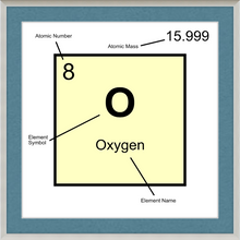 Load image into Gallery viewer, OXYGEN (LAB COLLECTION)12x12
