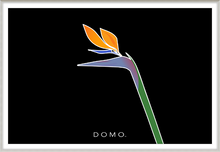 Load image into Gallery viewer, BIRD OF PARADISE 36x24