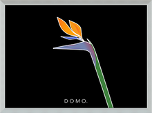 Load image into Gallery viewer, BIRD OF PARADISE 8x11