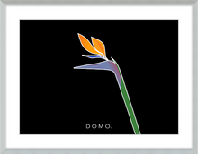 Load image into Gallery viewer, BIRD OF PARADISE 8x11