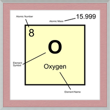 Load image into Gallery viewer, OXYGEN (LAB COLLECTION)12x12