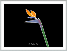Load image into Gallery viewer, BIRD OF PARADISE 22x16
