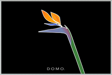 Load image into Gallery viewer, BIRD OF PARADISE 36x24