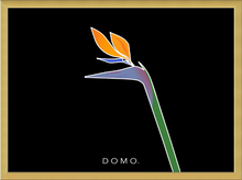 Load image into Gallery viewer, BIRD OF PARADISE 8x11