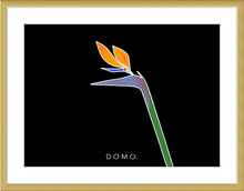 Load image into Gallery viewer, BIRD OF PARADISE 8x11