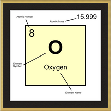 Load image into Gallery viewer, OXYGEN (LAB COLLECTION)12x12