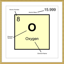 Load image into Gallery viewer, OXYGEN (LAB COLLECTION)12x12