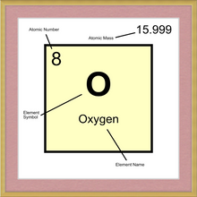 Load image into Gallery viewer, OXYGEN (LAB COLLECTION)12x12