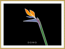 Load image into Gallery viewer, BIRD OF PARADISE 22x16