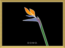 Load image into Gallery viewer, BIRD OF PARADISE 8x11