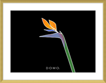 Load image into Gallery viewer, BIRD OF PARADISE 8x11