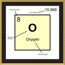 Load image into Gallery viewer, OXYGEN (LAB COLLECTION)12x12