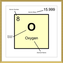 Load image into Gallery viewer, OXYGEN (LAB COLLECTION)12x12