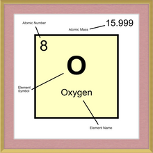 Load image into Gallery viewer, OXYGEN (LAB COLLECTION)12x12
