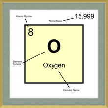 Load image into Gallery viewer, OXYGEN (LAB COLLECTION)12x12