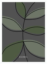 Load image into Gallery viewer, OLIVE FERN 8x11