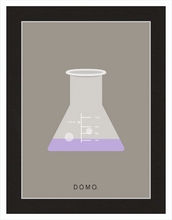 Load image into Gallery viewer, ERLENMEYER FLASK (LAB COLLECTION) 8x11