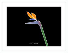Load image into Gallery viewer, BIRD OF PARADISE 8x11