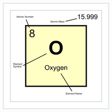Load image into Gallery viewer, OXYGEN (LAB COLLECTION)12x12