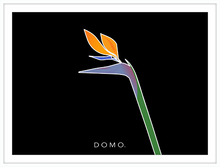 Load image into Gallery viewer, BIRD OF PARADISE 22x16