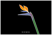 Load image into Gallery viewer, BIRD OF PARADISE 36x24