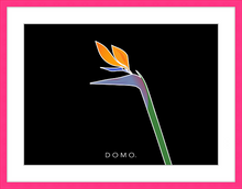 Load image into Gallery viewer, BIRD OF PARADISE 8x11