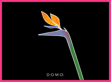 Load image into Gallery viewer, BIRD OF PARADISE 22x16