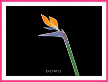Load image into Gallery viewer, BIRD OF PARADISE 22x16