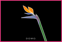 Load image into Gallery viewer, BIRD OF PARADISE 36x24